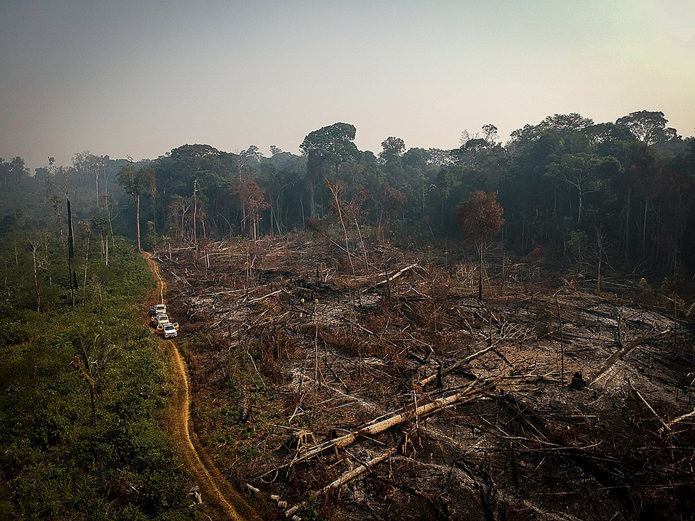 Vista aérea de uma área de floresta desmatada e queimada na zona rural do município de Apuí, Amazonas. Vista aérea de uma área de floresta desmatada e queimada na zona rural do município de Apuí, Amazonas.