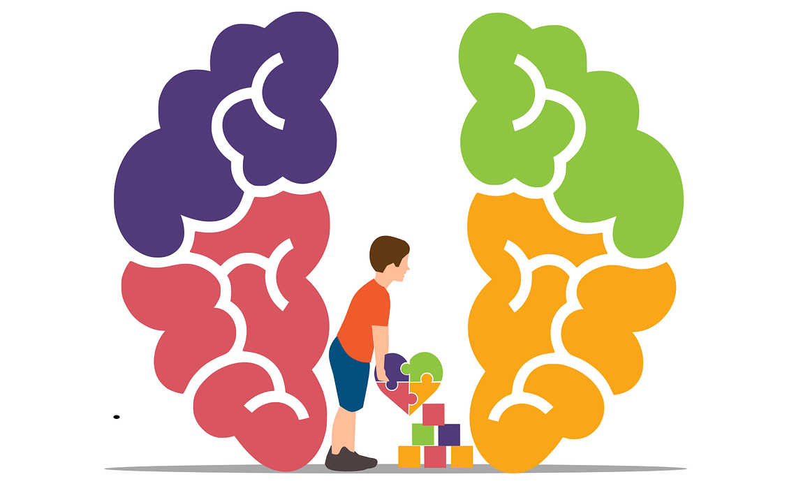 Ao lado esquerdo, imagem do hemisfério cerebral nas cores roxo e vermelho. Ao centro, imagem de um menino segurando um quebra-cabeça de coração e abaixo, 6 blocos pedagógicos montado em fileiras, com a base de três blocos nas cores amarela e vermelha, na fileira acima, formado por dois blocos nas cores verde e azul e acima um bloco na cor vermelha. Ao lado direito da imagem, o hemisfério cerebral nas cores verde e amarela. Ao lado esquerdo, imagem do hemisfério cerebral nas cores roxo e vermelho. Ao centro, imagem de um menino segurando um quebra-cabeça de coração e abaixo, 6 blocos pedagógicos montado em fileiras, com a base de três blocos nas cores amarela e vermelha, na fileira acima, formado por dois blocos nas cores verde e azul e acima um bloco na cor vermelha. Ao lado direito da imagem, o hemisfério cerebral nas cores verde e amarela.